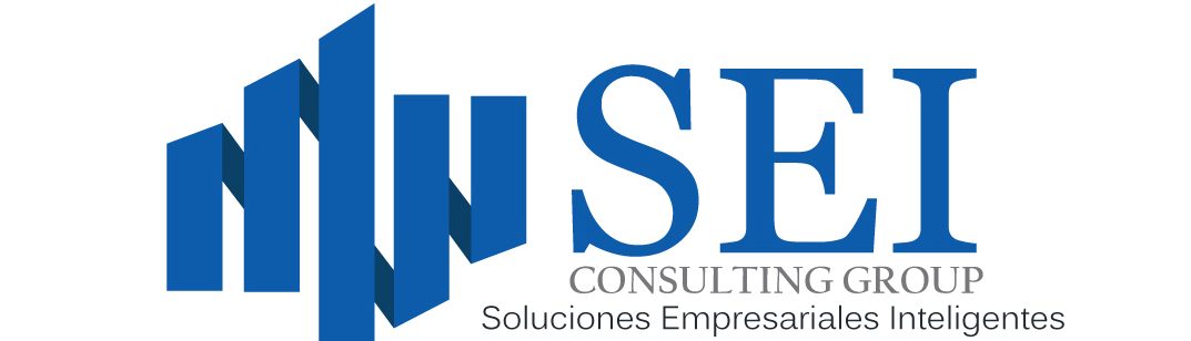 SEI Consulting